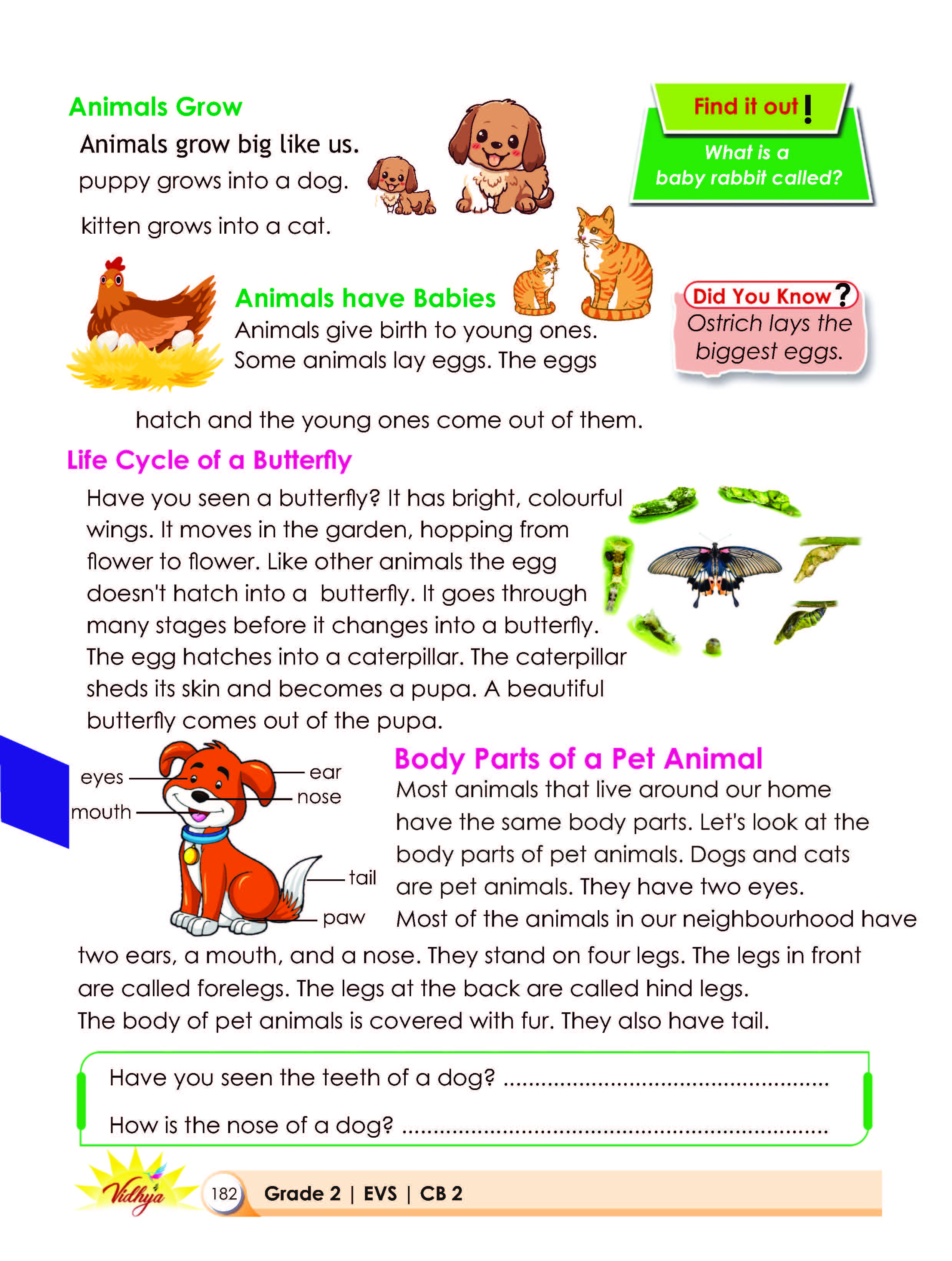Page 182