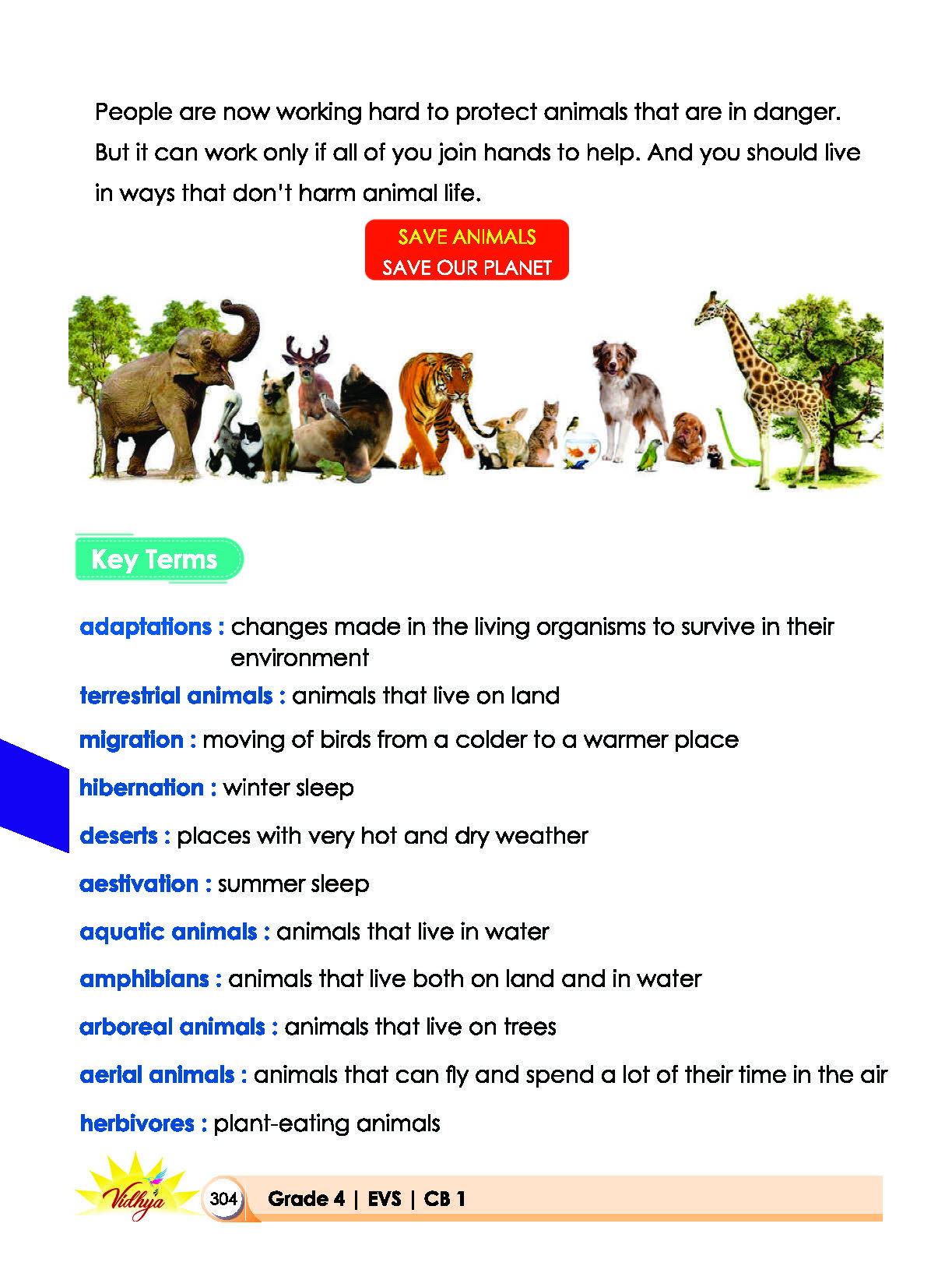 Page 304
