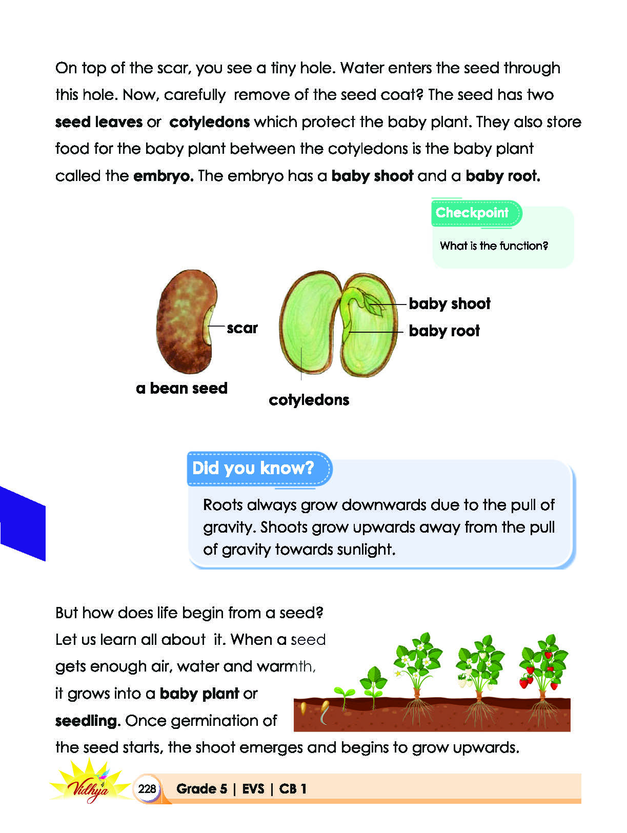 Page 228
