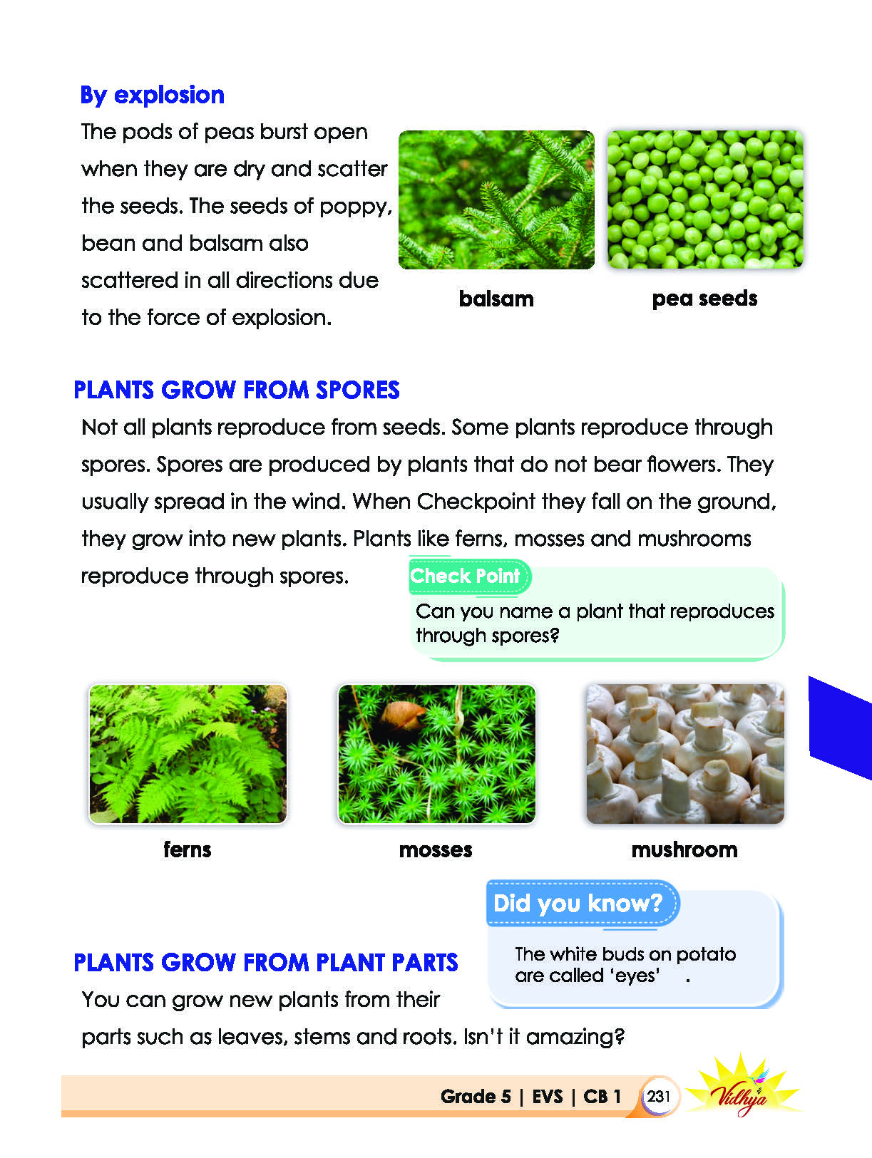 Page 231