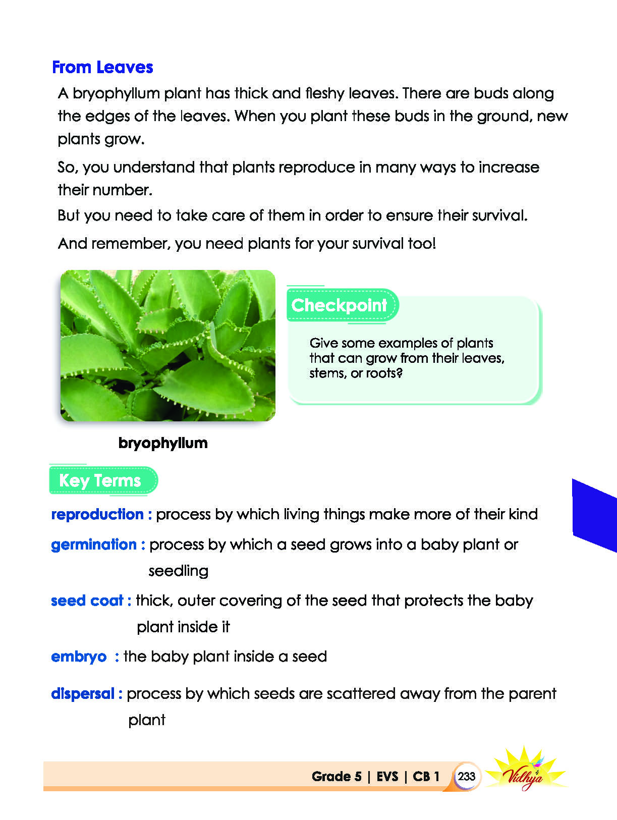 Page 233