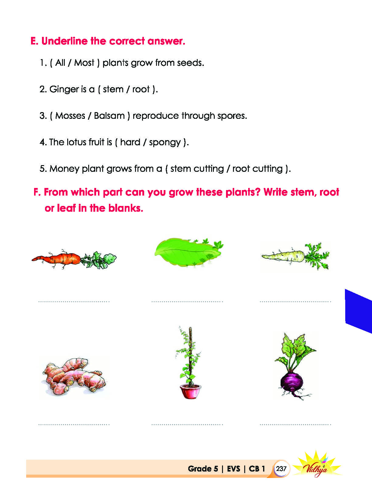 Page 237