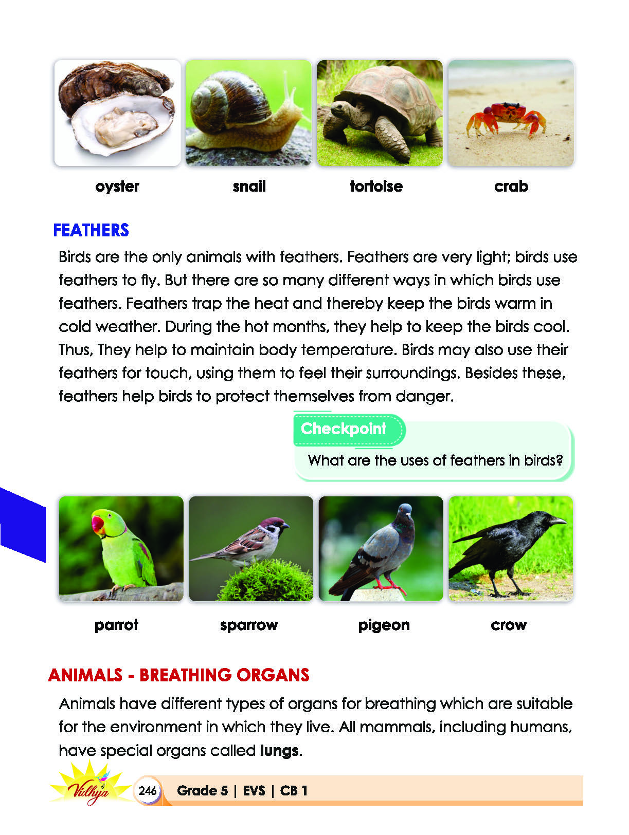 Page 246