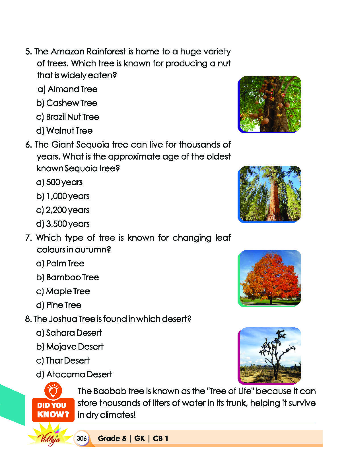 Page 306